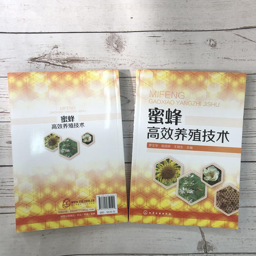 蜜蜂高效养殖技术 商品图4