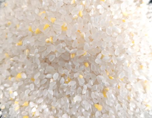 九月玉金香大米2.5KG/袋   A-5051 商品图1