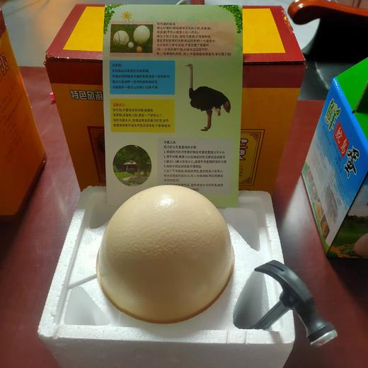 【全国包邮，部分地区除外】产地直发 郧阳区白浪镇原生态健康绿色养殖鸵鸟蛋1枚（2.6~3.5斤左右） 商品图5