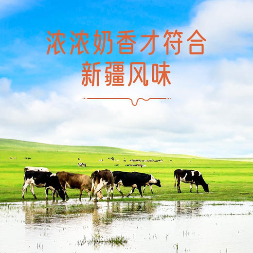 西域呼唤·新疆奶醇  多规格可选  不粘牙不齁甜 原味更显奶源好品质 商品图4