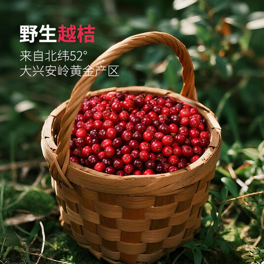 【贤而美】越桔复合浓缩液(刺玫) 210ml 商品图1