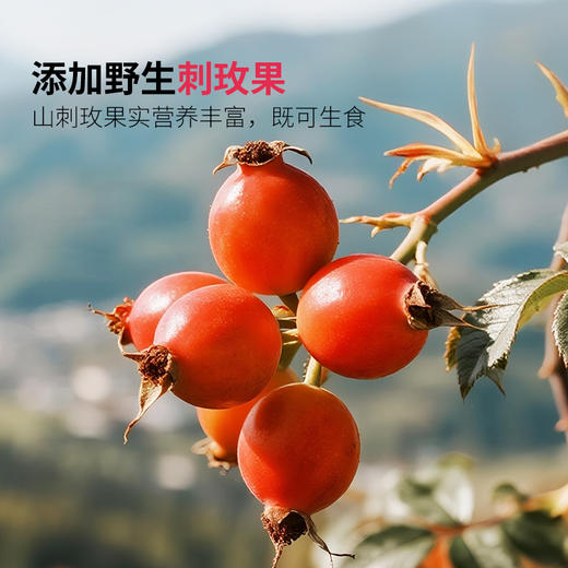 【贤而美】越桔复合浓缩液(刺玫) 210ml 商品图4