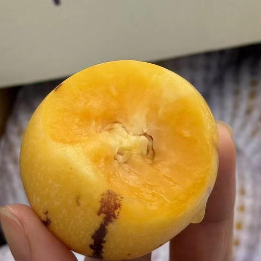 云南七彩人参果 商品图2