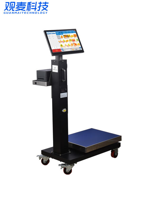 观麦QZ003智能分拣一体机【蓄电款】 商品图1