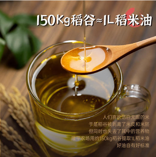 袁谷稻米油260ml*3辽河耐盐碱稻谷米糠油谷维多双一万二食用油 商品图2