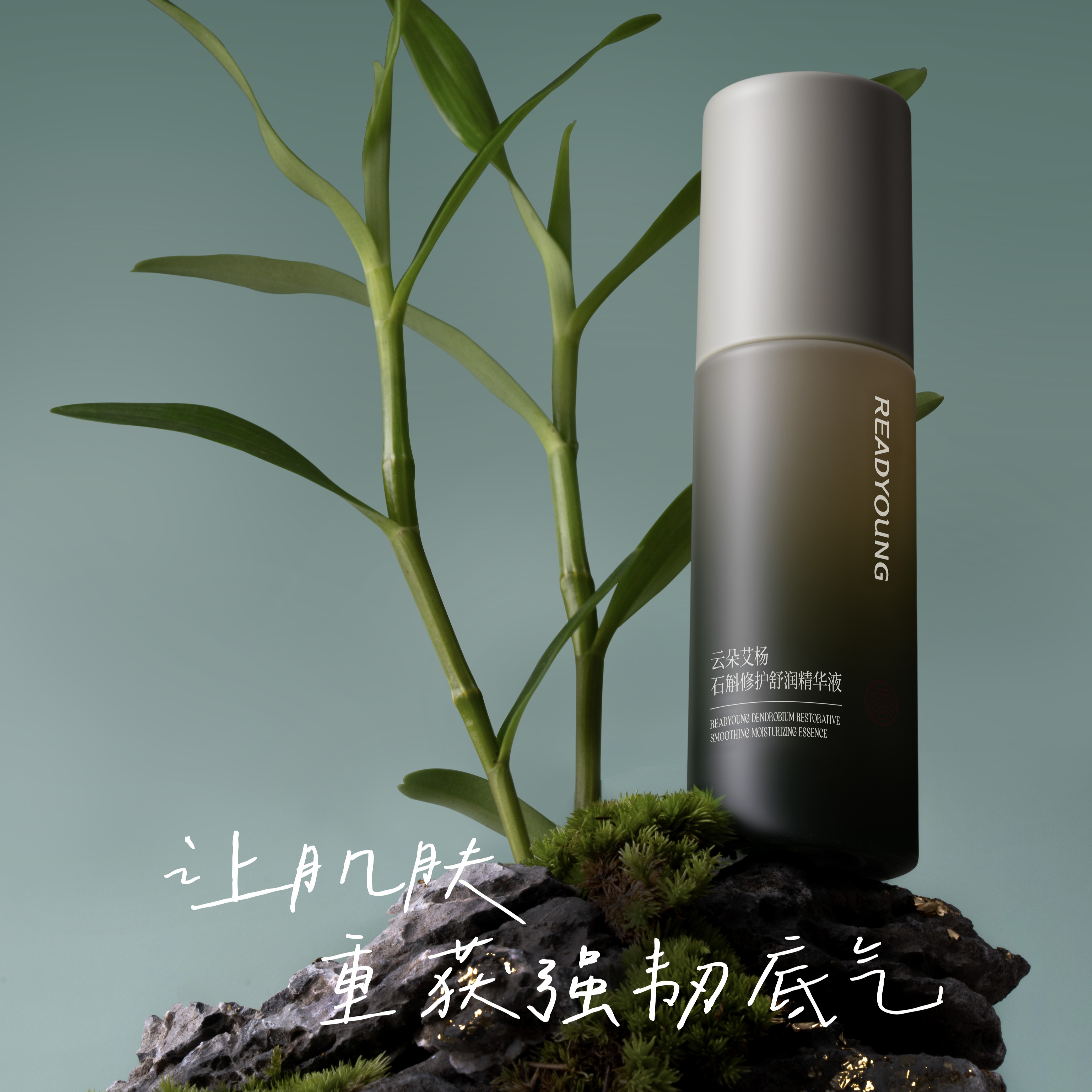 石斛修护舒润精华液 30ml 草本护肤