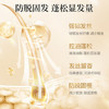 阿道夫防脱固发洗发水500ml 生姜健发固根洗头膏控油清爽侧柏叶官方正品 商品缩略图1