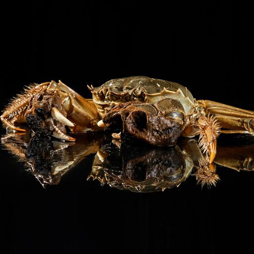 苏霸王中秋礼品高端蟹卡 商品图6