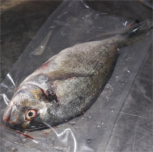 金头雕（半野生） 商品图1