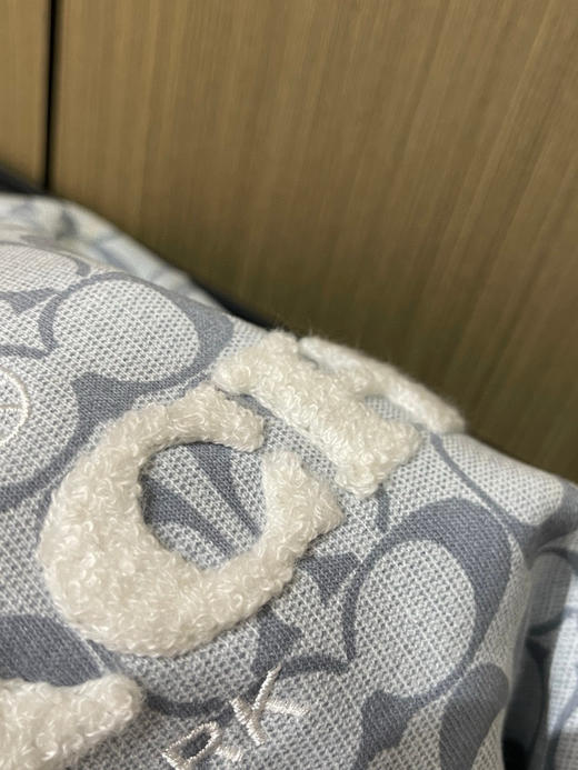 𝐂𝐇情侣款天蓝色老花连帽薄绒卫衣815 商品图12