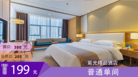 普通单间 紫光精品酒店