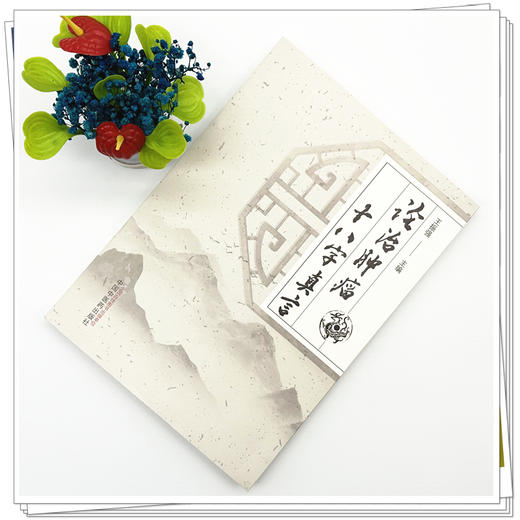 论治肿瘤十八字真言 王振强 主编 中国中医药出版社 中医临床 医案 书籍 商品图1