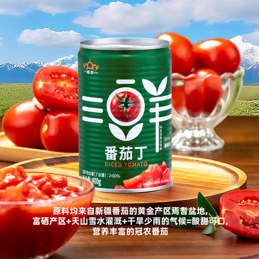 【2025年新货】【京东/顺丰】新疆冠农番茄丁400g 绿色食品认证 新鲜去皮西红柿 番茄 商品图2