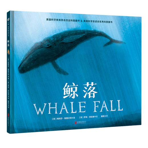 鲸落 商品图0