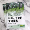 图说蔬菜无土栽培关键技术 商品缩略图2