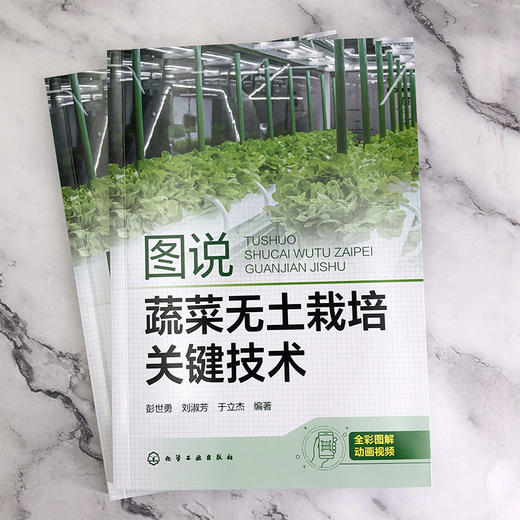 图说蔬菜无土栽培关键技术 商品图2