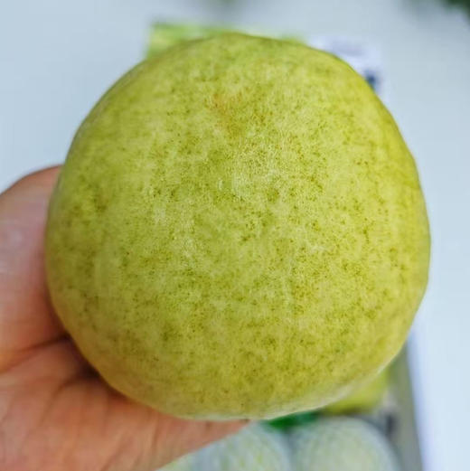 ​​​​​#🌈/奶油+芭乐=别人瘦身饿到发慌，我吃着芭乐畅想酸甜[色]热量低还饱腹，减肥不再是苦行僧，而是一场甜蜜的奔赴到货 ⁠‌﻿‎  ​⁠‎﻿‎​ 商品图5