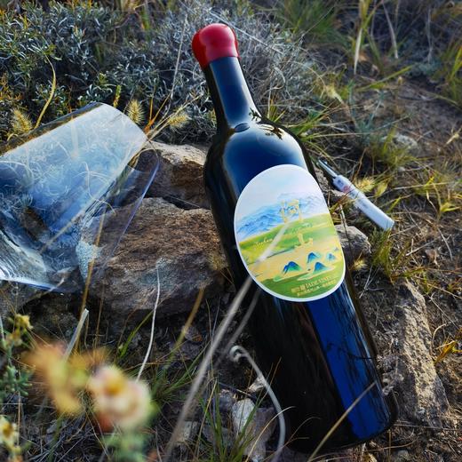 嘉地酒庄旗舰店河山单一梅洛干红葡萄酒 商品图5