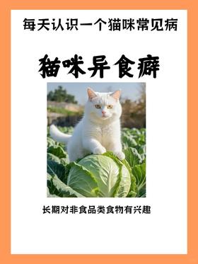 每天认识一个猫咪常见病—猫咪异食癖