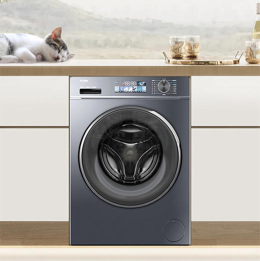 海尔（Haier）洗衣机 EG100BD88PLUS 商品图0