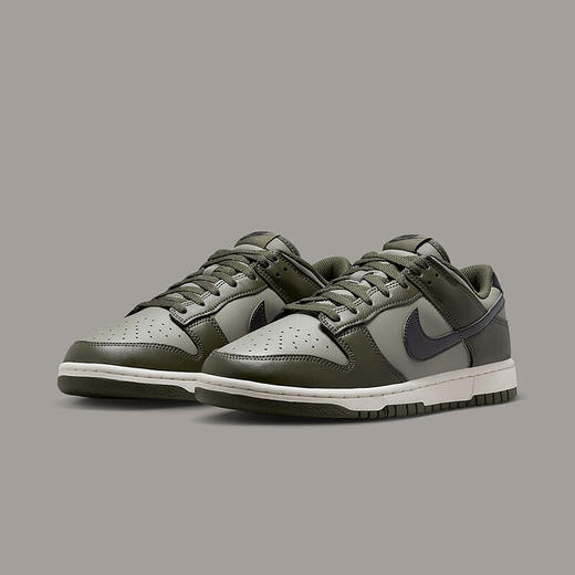 NIKE耐克 DUNK LOW RETRO男子运动休闲鞋 HF5441-300 商品图2