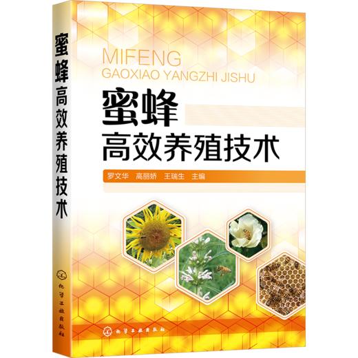 蜜蜂高效养殖技术 商品图0