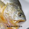 福建宁德黄鱼鲞#肉质细腻刺少鲜美无土腥味，捕捞到去内脏古法盐渍包装保证在8h内，速冻锁鲜鲜味满分~ 商品缩略图5