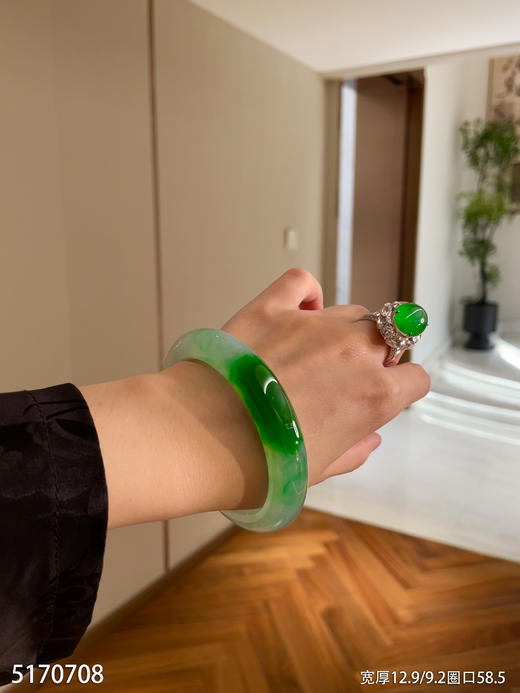 冰飘翠手镯【5170708】圈口58.5~具体价格微信咨询 商品图0