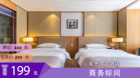 商务标间 紫光精品酒店