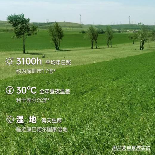 【节日礼盒】好麦多 富营养有机礼 1200g 商品图6