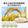 疆粮·精洁稻花香 新疆大米 5kg   察布查尔火山灰富锌土种植 米香超浓郁 商品缩略图4