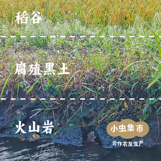 生态糙米奶 200ml*6盒/箱 | 合作农友生产，产自浙江金华，生产者：李明攀 *【公平贸易农人定价】 商品图12