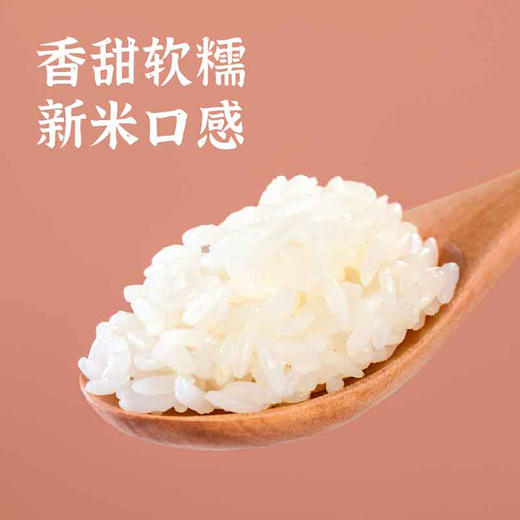 袁谷农场五常软香米5kg五常产区当季新米东北黑土地一年一季10斤装 商品图2