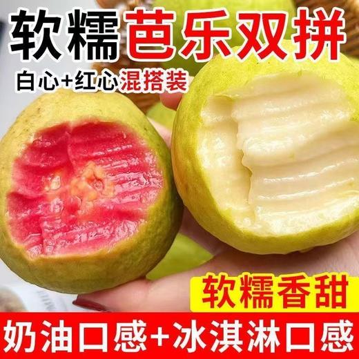【送酸梅粉❗️软糯奶油芭乐双拼】奶油口感+冰淇淋口感，香味浓郁，营养丰富，让全家人一起补充VC！广东红心白心芭乐果番石榴 当季水果5斤新鲜水果 商品图0