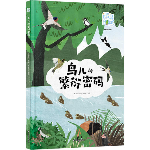 【遇见自然】鸟儿的繁衍密码（探秘鸟类繁衍，涵盖20余种鸟类求偶、筑巢等策略，插画兼具艺术性与科学性，传递生态保护意识） 商品图0