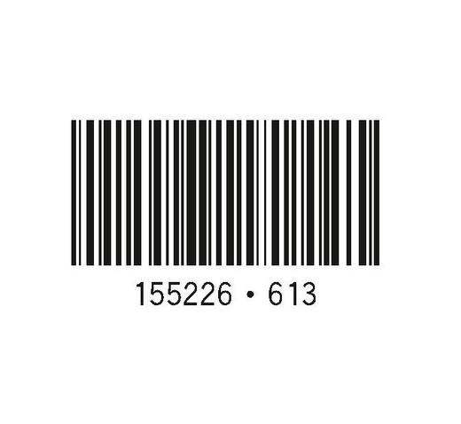 水轮发电机组推力轴承、导轴承安装调试运行维护导则（NB/T 11558—2024 代替SD 288—88） &155226·613 商品图3