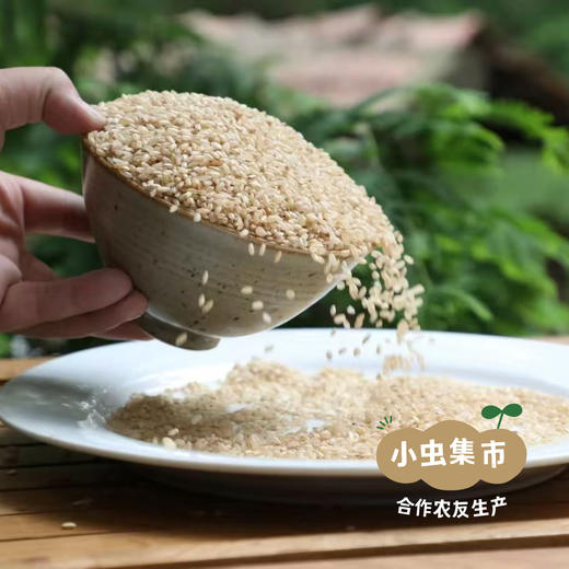 生态糙米奶 200ml*6盒/箱 | 合作农友生产，产自浙江金华，生产者：李明攀 *【公平贸易农人定价】 商品图8