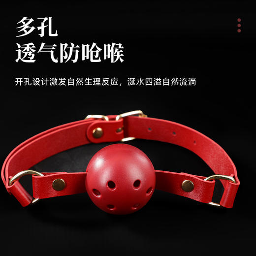 【SM】赠品口球搭配系列 商品图1