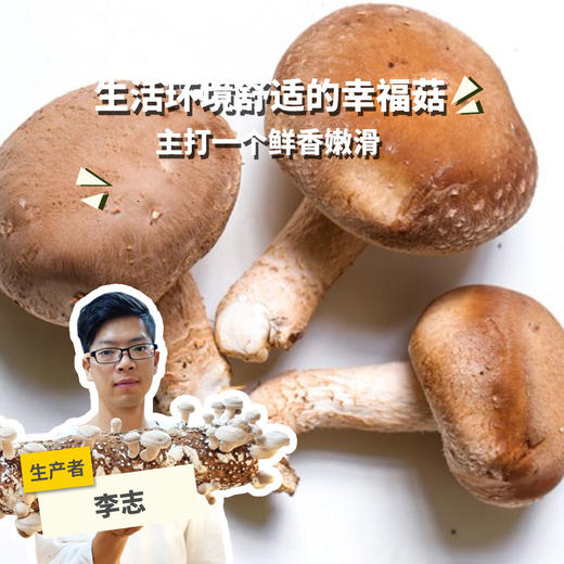 有机鲜香菇 | 绿家自产 * Organic tea shitake | Self-production 商品图0