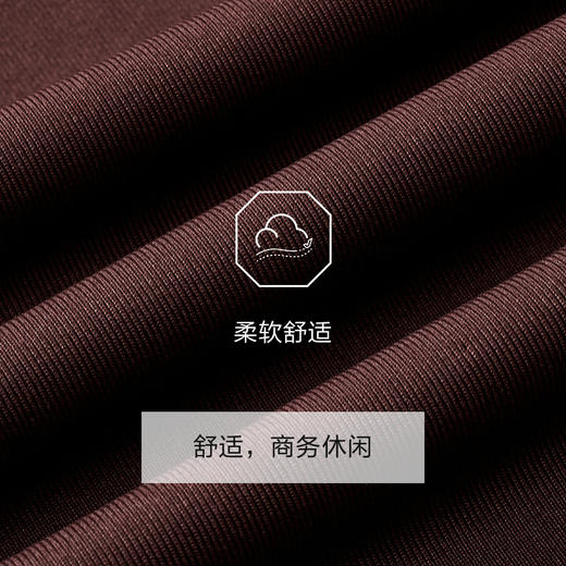 九牧王 商务休闲春褐色标准版长袖POLO衫JT1E10520 商品图4