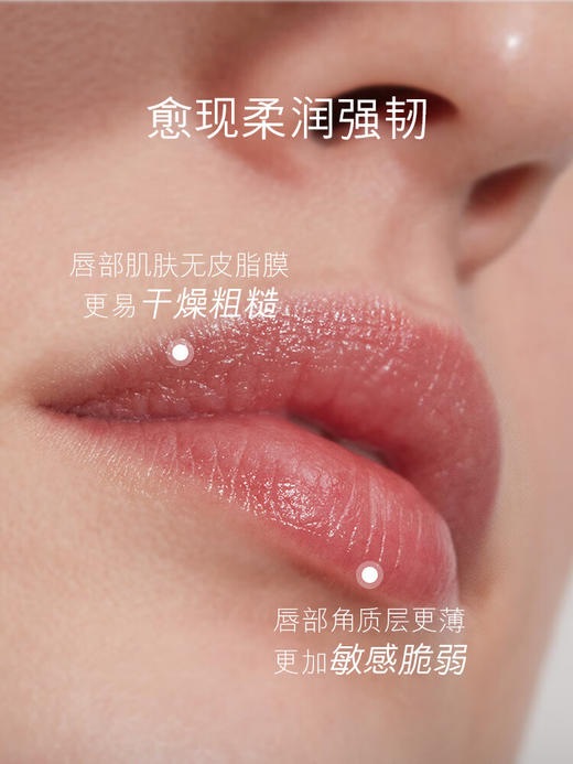 海蓝之谜（LA MER）润唇霜9g 商品图1