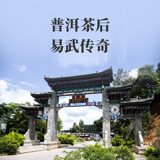 2025年易武·醇熟茶礼盒装送礼大气 甄选2015年易武古树春茶 商品图1