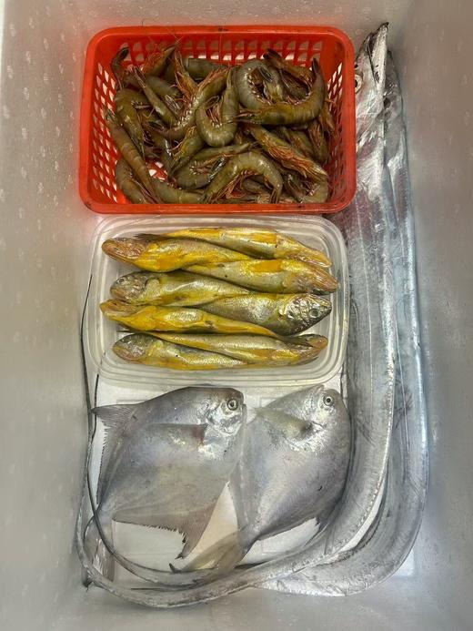 舟山野生小海鲜套餐 商品图0