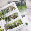 图说蔬菜无土栽培关键技术 商品缩略图5