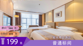 普通标间  紫光精品酒店