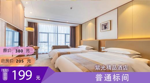 普通标间  紫光精品酒店 商品图0