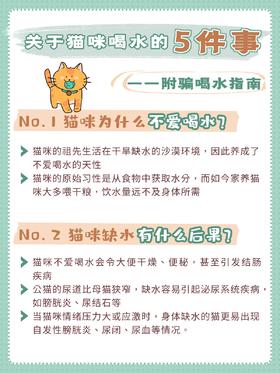 关于🐱喝水的5件事｜附6⃣️个骗喝水指南