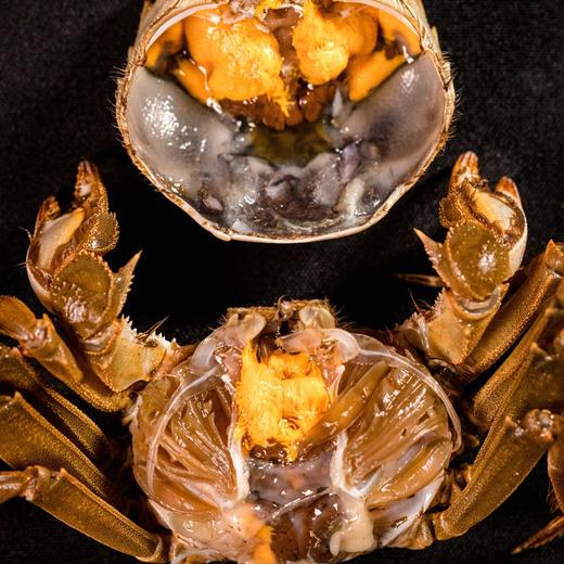 苏霸王中秋礼品高端蟹卡 商品图9