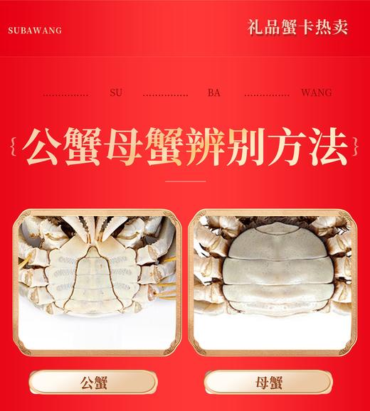 苏霸王中秋礼品高端蟹卡 商品图4