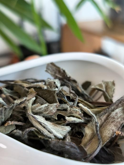 白月光（珍藏近10年的老白茶）预售 商品图3